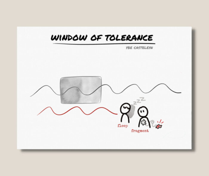 Window of Tolerance - digital slide set