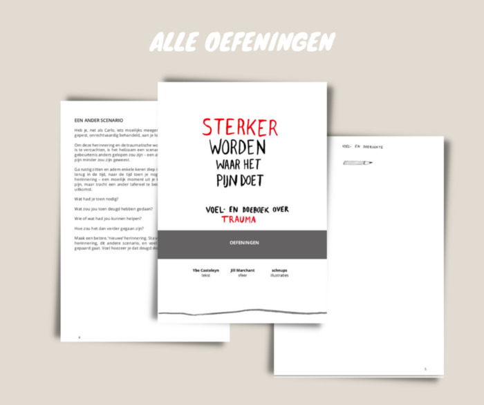 Sterker worden waar het pijn doet - Alle oefeningen uit het boek