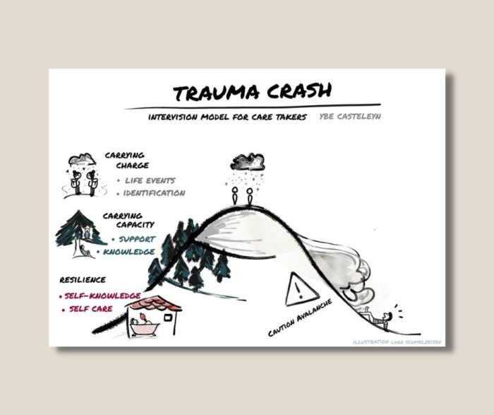 Trauma Crash - intervision schedule for trauma supervisors- digital set of slides