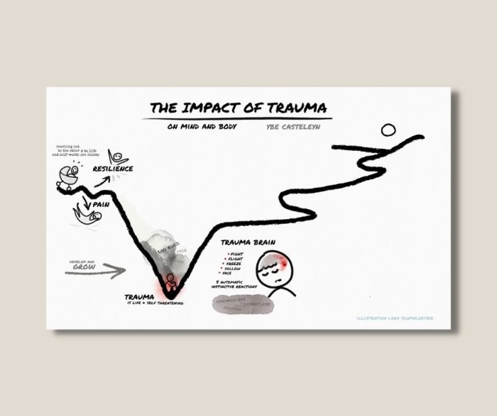 The Impact of Trauma - on the influence of trauma on body and mind - digital set of slides