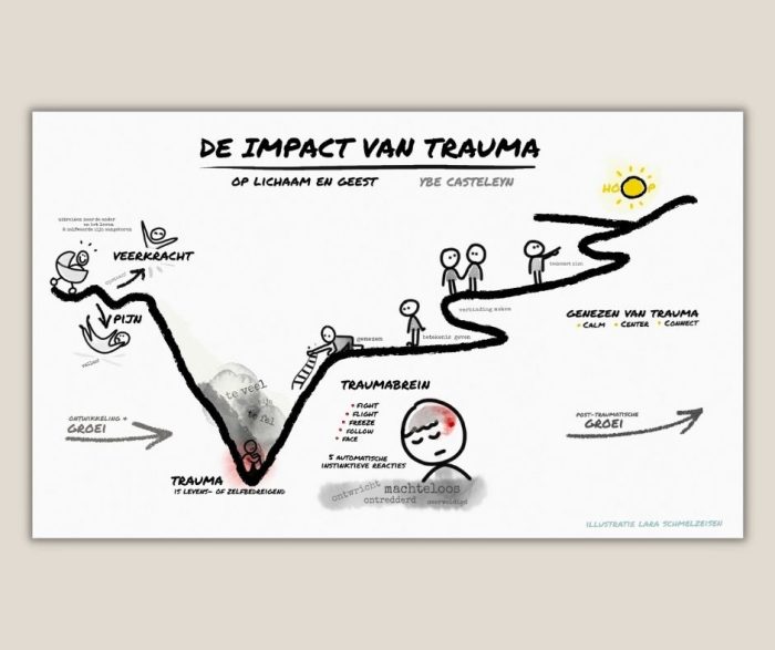 De Impact van Trauma - over de invloed van trauma op lichaam en geest - digitale set van slides