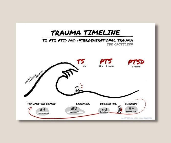 Trauma Timeline - on TS, PTSS, C-PTSS and intergenerational trauma - digital set of slides