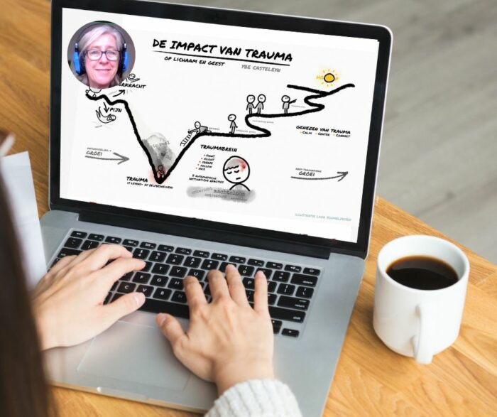 Webinar Basic Trauma-informed Practice Training (Dutch)