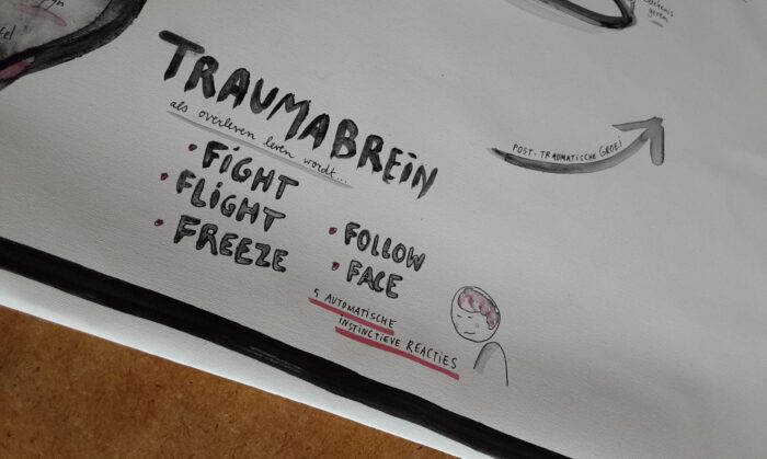 Geboorte en Trauma - Unieke, handgeschilderde poster met Trauma kloof voor vroedvrouwen, doula's en alle mensen, die zwangeren begeleiden - Afbeelding 5